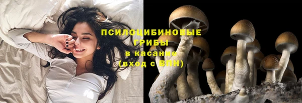 МДПВ Алексин