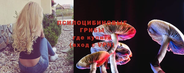 МДПВ Алексин